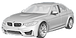 BMW F80 P310B Fault Code